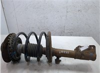 5066338AA, 5006783AB Амортизатор подвески Chrysler Voyager 2000-2007 20363604 #4