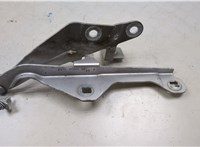  Петля капота Ford Mustang 2014-2017 20363636 #3