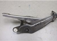  Петля капота Ford Mustang 2014-2017 20363638 #1