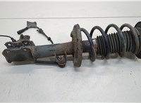  Амортизатор подвески Opel Signum 20363729 #1