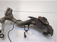  Ступица (кулак, цапфа) Audi A4 (B6) 2000-2006 20363738 #1