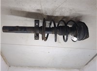 8200851839, 8200304216 Амортизатор подвески Renault Scenic 2003-2009 20363749 #5