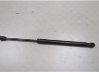  Амортизатор капота Hyundai Santa Fe 2012-2016 20363898 #1