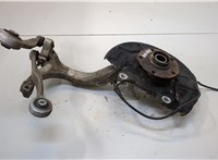  Ступица (кулак, цапфа) Audi A4 (B6) 2000-2006 20364040 #1