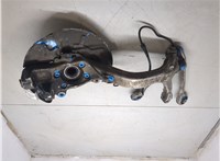 4B0407613B, 8E0407254C Ступица (кулак, цапфа) Audi A4 (B6) 2000-2006 20364040 #6