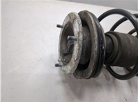 31316759561, 6759561 Амортизатор подвески BMW 3 E46 1998-2006 20364272 #7
