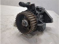 167000061R, 167000938R ТНВД Renault Megane 3 2009-2016 20364296 #1
