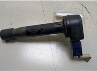  Катушка зажигания Acura TL 2003-2008 20365132 #1
