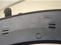 9658739480 Молдинг крыла Citroen C3 2002-2009 20365252 #4