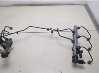  Рампа (рейка) топливная Audi A6 (C6) 2004-2011 20365363 #1