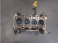  Блок цилиндров (Шорт блок) Renault Scenic 2009-2012 20366778 #1
