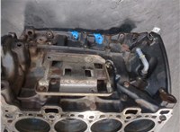  Блок цилиндров (Шорт блок) Renault Scenic 2009-2012 20366778 #6