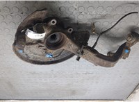 8D0407254B, 8D0407615E Ступица (кулак, цапфа) Volkswagen Passat 5 2000-2005 20366885 #8
