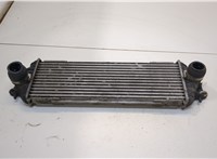  Радиатор интеркулера Nissan Primastar 20367062 #1