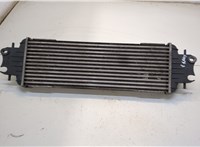  Радиатор интеркулера Nissan Primastar 20367062 #2