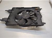  Вентилятор радиатора Renault Scenic 2003-2009 20367327 #3