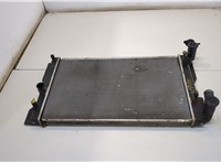 4221738741 Радиатор охлаждения двигателя Pontiac Vibe 2 2008-2010 20367669 #1