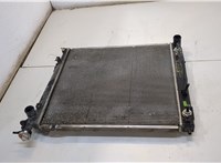 253102B970 Радиатор охлаждения двигателя Hyundai Santa Fe 2012-2016 20367818 #1