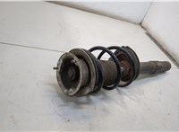  Амортизатор подвески BMW 5 E60 2003-2010 20367971 #2