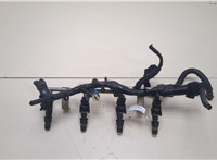  Форсунка топливная Opel Meriva 2003-2010 20368040 #1