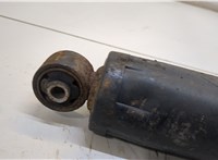  Амортизатор подвески Opel Antara 20368288 #3