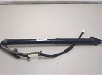 6891049038 Амортизатор крышки багажника Toyota RAV 4 2013-2015 20368668 #1