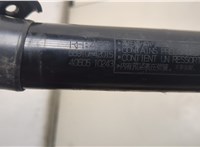 6891049038 Амортизатор крышки багажника Toyota RAV 4 2013-2015 20368668 #2