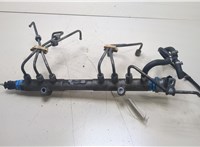  Рампа (рейка) топливная Volvo S60 2000-2009 20368752 #1