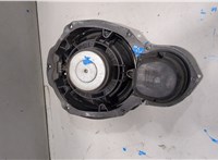  Динамик Volkswagen Passat 6 2005-2010 20368898 #2