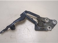 7210729 Петля капота BMW X3 F25 2010-2017 20368906 #1
