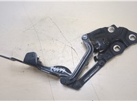 7210729 Петля капота BMW X3 F25 2010-2017 20368906 #3