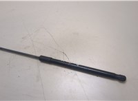  Амортизатор крышки багажника Skoda Octavia (A7) 2013-2023 20368945 #1