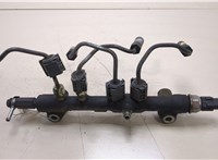 175205X00A Рампа (рейка) топливная Nissan Pathfinder 2004-2014 20369475 #1