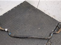  Стабилизатор подвески (поперечной устойчивости) Nissan X-Trail (T30) 2001-2006 20369615 #4