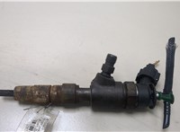 1980S5, 0445110340 Форсунка топливная Citroen Berlingo 2008-2012 20369713 #1