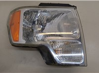AL3Z13008AJ Фара (передняя) Ford F-150 2009-2014 20369865 #1