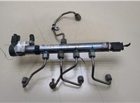  Рампа (рейка) топливная Mercedes E W213 20370086 #1