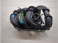  Коллектор впускной Ford Fiesta 2001-2007 20371661 #12
