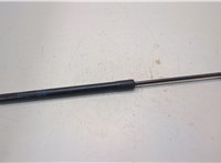 42441531 Амортизатор капота Chevrolet Blazer 2018-2023 20372333 #1