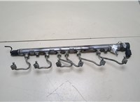 13537805423 Рампа (рейка) топливная BMW X5 E70 2007-2013 20373025 #1