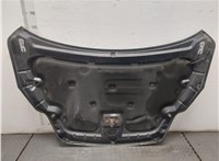  Капот Ford Focus 2 2008-2011 20373734 #9