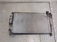 1K0121253AA Радиатор охлаждения двигателя Skoda Octavia (A5) 2004-2013 20374128 #1