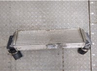 7805629, R7368002 Радиатор интеркулера BMW 7 F01 2008-2015 20374183 #2