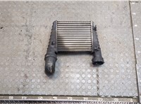  Радиатор интеркулера Volkswagen Passat 5 2000-2005 20374269 #1