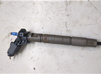 0445116018 Форсунка топливная Hyundai Santa Fe 2005-2012 20374355 #1