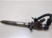  Форсунка топливная Ford Focus 2 2008-2011 20374428 #1