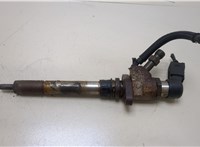  Форсунка топливная Ford Focus 2 2008-2011 20374431 #1