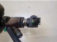  Форсунка топливная Ford Focus 2 2008-2011 20374431 #2