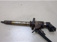  Форсунка топливная Ford Focus 2 2008-2011 20374433 #1