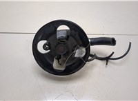  Насос гидроусилителя руля (ГУР) Mitsubishi Carisma 20374524 #1